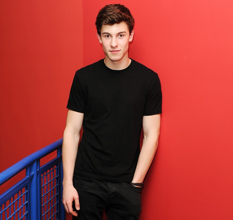 1434395578_shawn-mendes-zoom