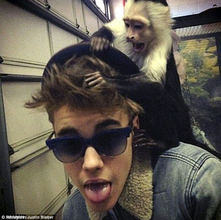 315DB8F100000578-3454449-_Dangerous_Justin_Bieber_s_plans_to_adopt_another_monkey_have_be-a-105_1455885652236