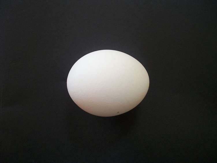 Duhovito: Naša devojka završila na Instagramu čuvenog jajeta! (video)